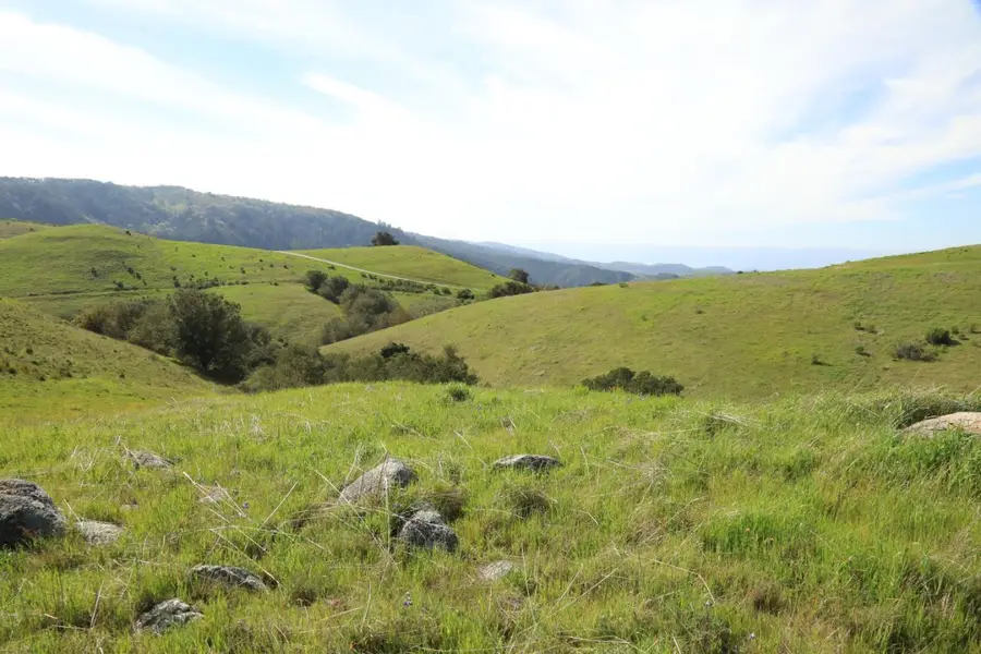1 Penon Peak (Lot 217) Trail, Carmel, CA 93923 - #2