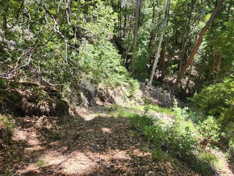 510 East Road, Boulder Creek, CA 95006 - Image #3