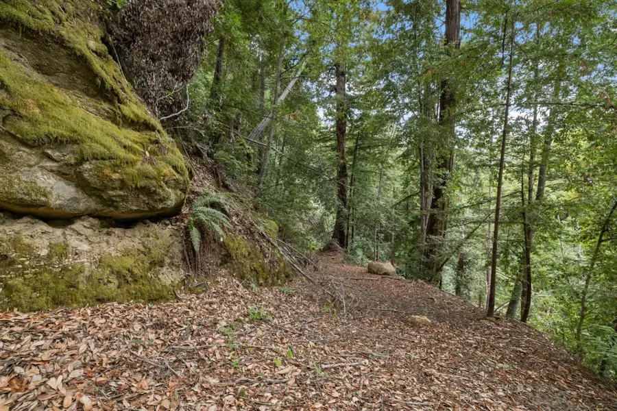 02 Bear Creek, Boulder Creek, CA 95006 - #3