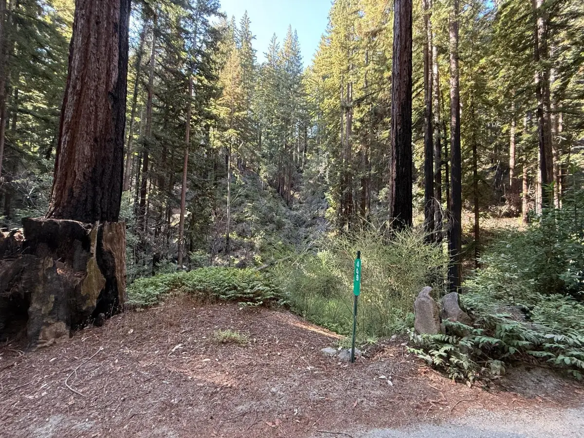 449 Band Road, Boulder Creek, CA 95006 - #1