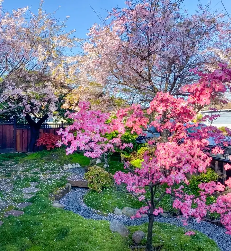 1318 Huron Avenue, San Mateo, CA 94401 - Image #2