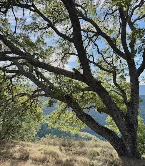 0 Via Vespero, San Jose, CA 95120 - #3