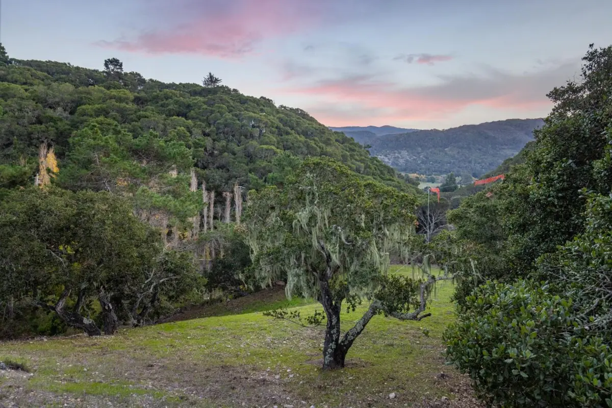28007 Mercurio Road, Carmel, CA 93923 - #1