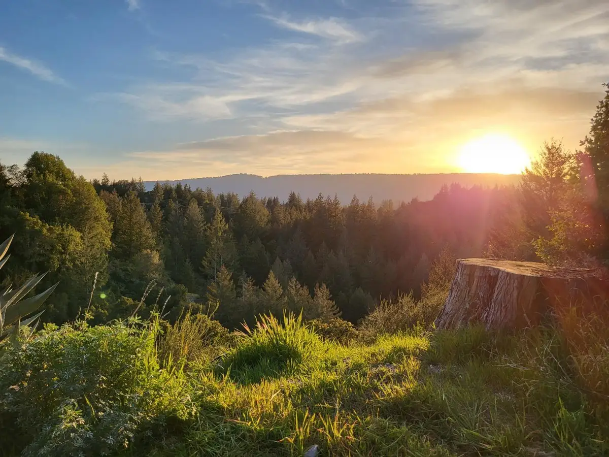 18060 Moonrise Road, Boulder Creek, CA 95006 - #1