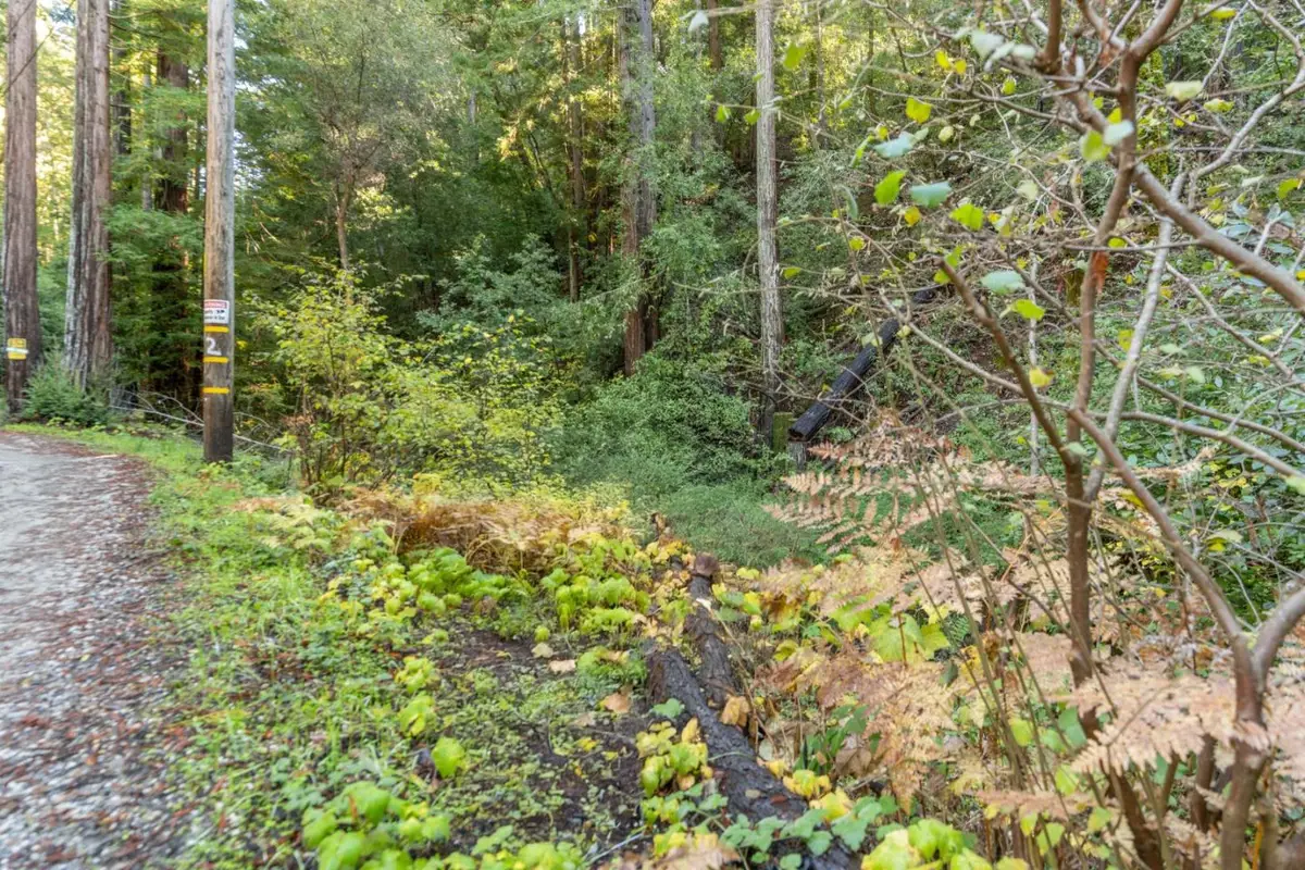 4 Old Mill Avenue, Felton, CA 95018 - #1