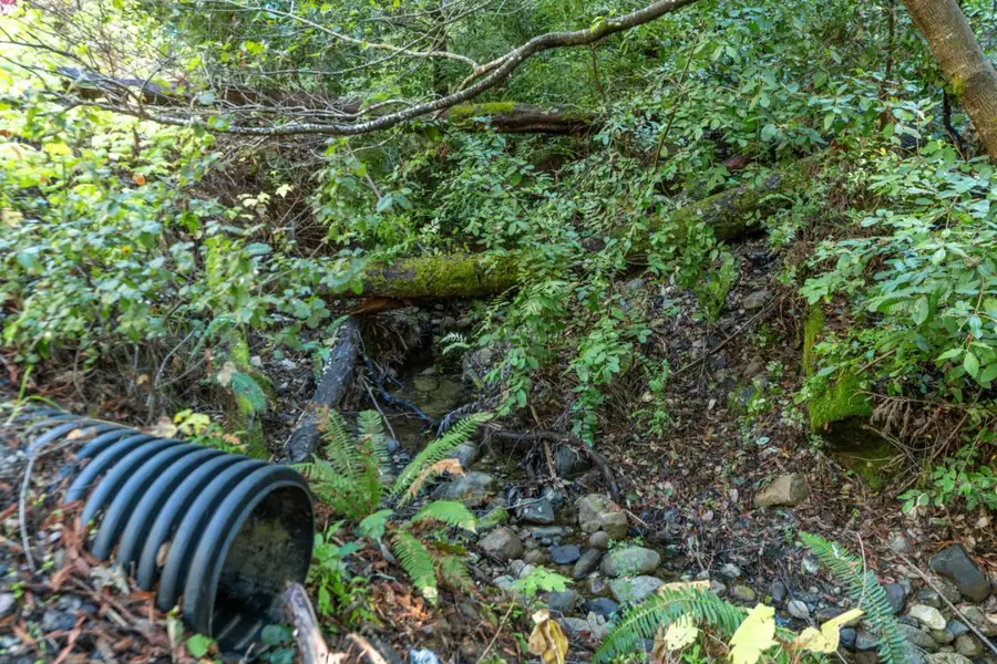 4 Old Mill Avenue, Felton, CA 95018 - #2