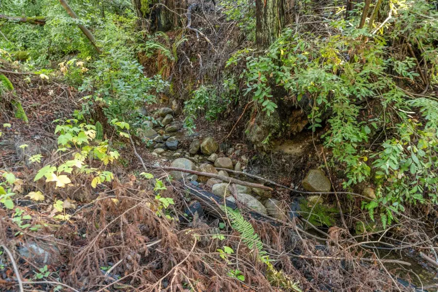 4 Old Mill Avenue, Felton, CA 95018 - #3