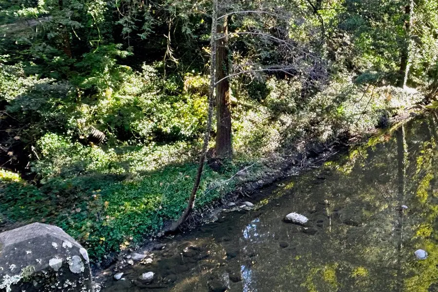 00 Riverside Road, Brookdale, CA 95007 - #2