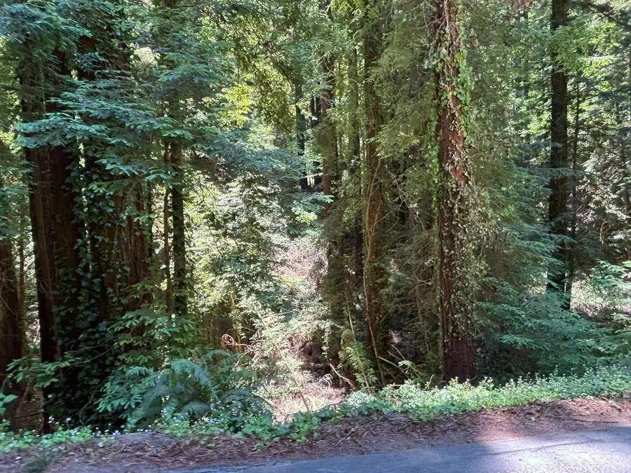 584 Hazel Dell Road, Corralitos, CA 95076 - #3