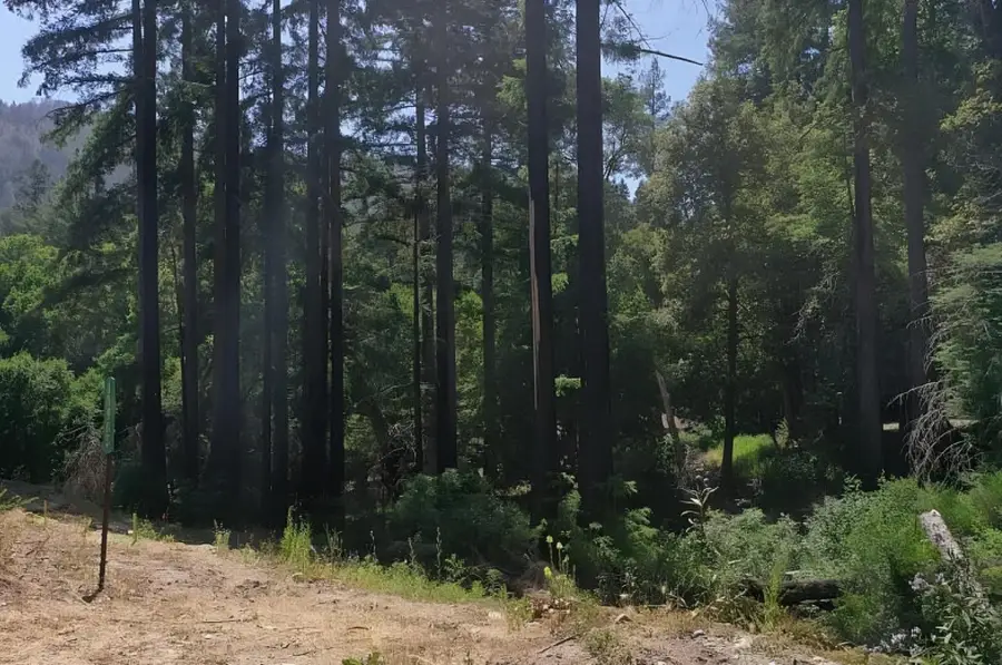 14965 Virginia Avenue, Boulder Creek, CA 95006 - Image #2