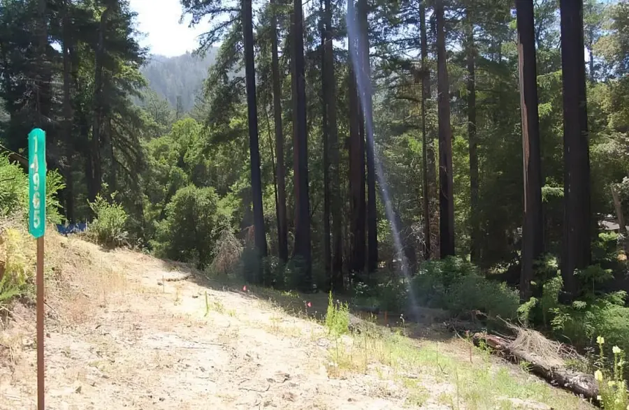 14965 Virginia Avenue, Boulder Creek, CA 95006 - Image #3