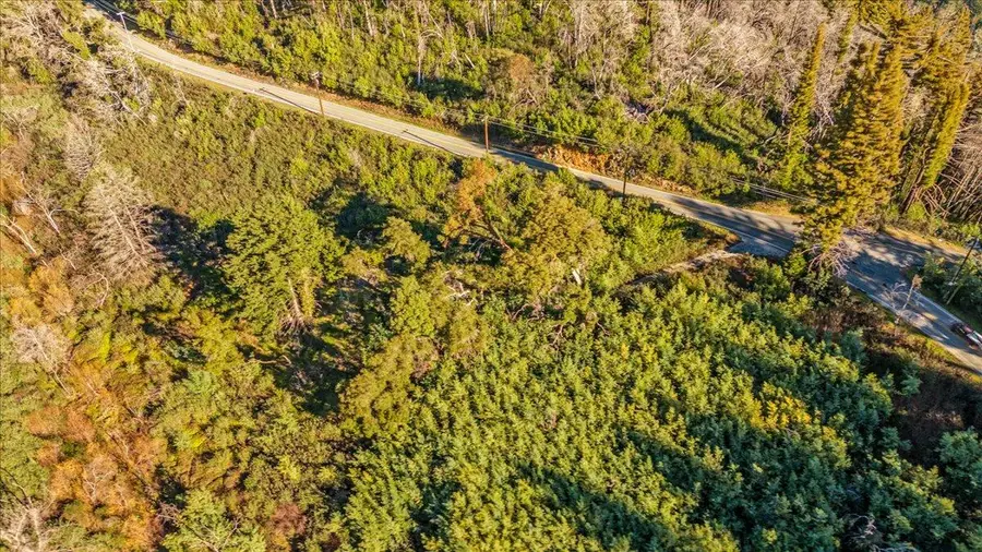 11035 Empire Grade, Santa Cruz, CA 95060 - Image #3