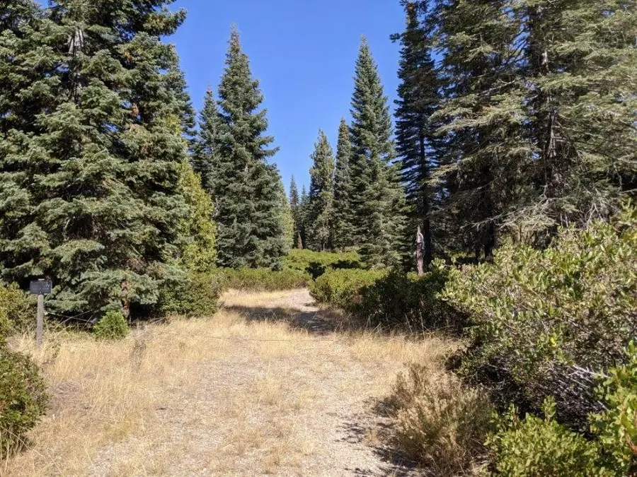 21 Ridge Drive, McCloud, CA 96057 - #2