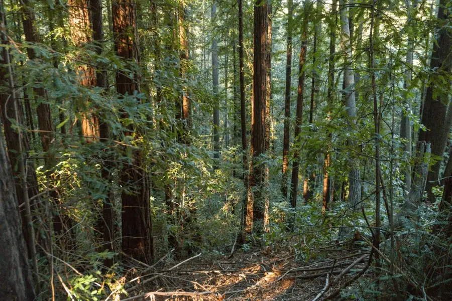 0 Country Club Drive, Ben Lomond, CA 95005 - #2