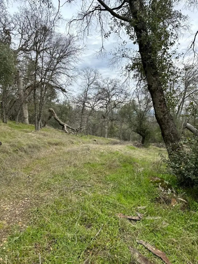 4822 Indian Peaks Road, Mariposa, CA 95338 - Image #3