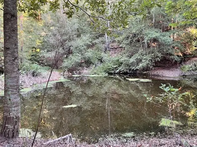 00 Love Creek, Ben Lomond, CA 95005 - #1