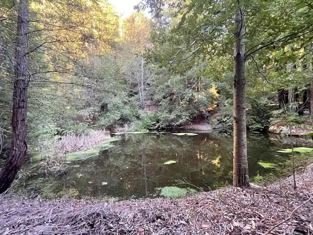 00 Love Creek, Ben Lomond, CA 95005 - #2