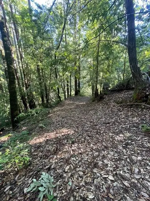 00 Love Creek, Ben Lomond, CA 95005 - #3