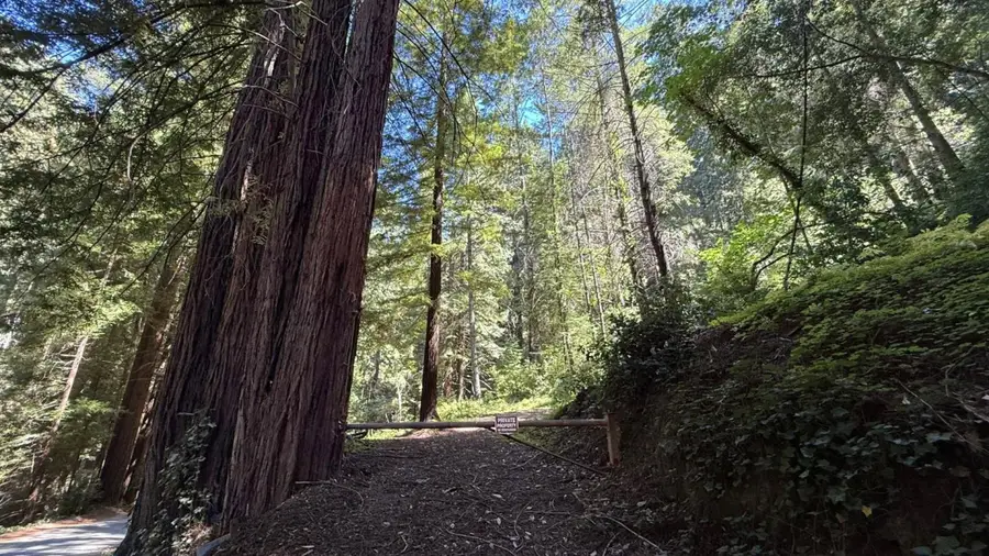 15645 Stetson Road, Los Gatos, CA 95033 - #2