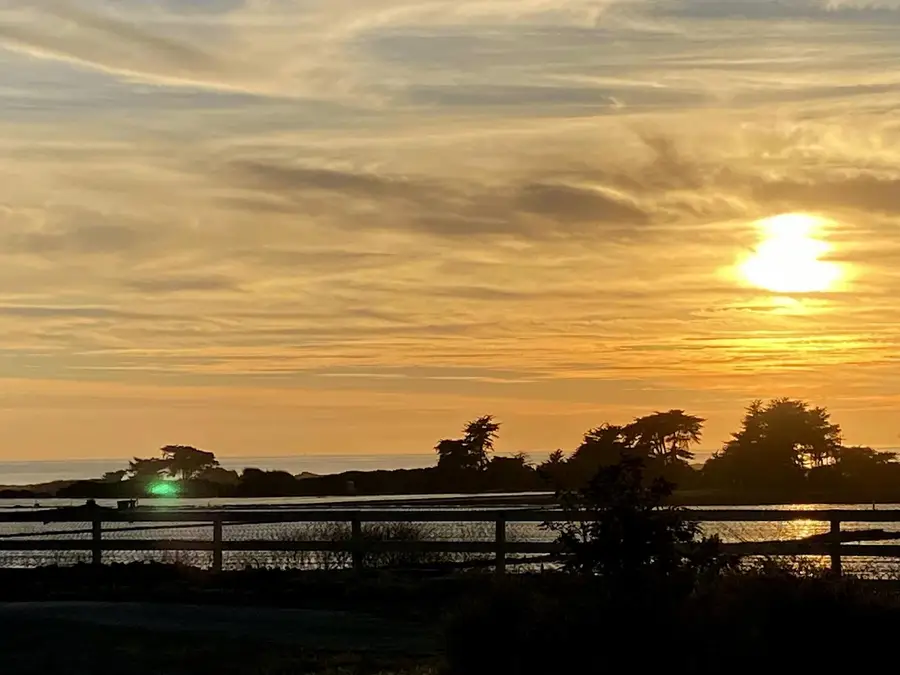 260 Giberson Road, Moss Landing, CA 95039 - #2