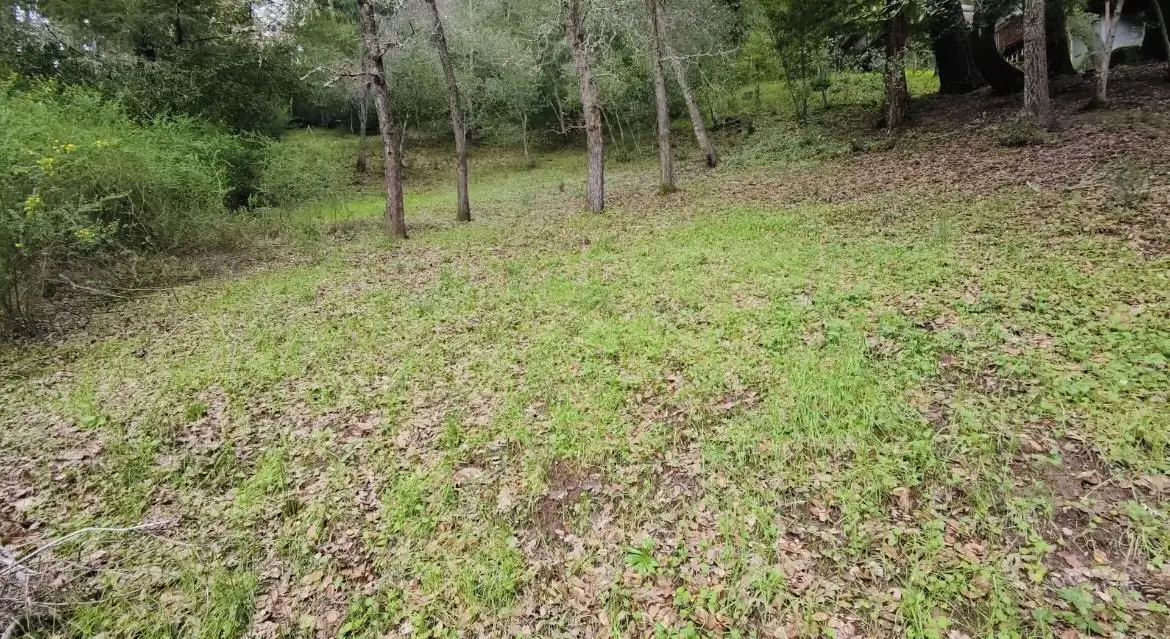 15971 Forest Hill Drive, Boulder Creek, CA 95006 - #1