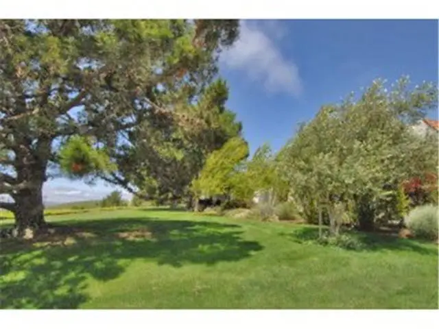 1 Rinconada Circle, Belmont, CA 94002 - #1