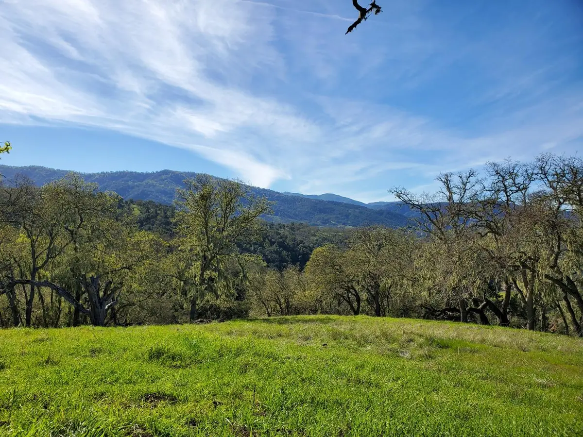 0 CACHAGUA ROAD, Carmel Valley, CA 93924 - #1