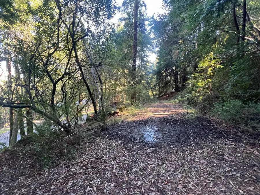 559 Patrol Road, Woodside, CA 94062 - #2