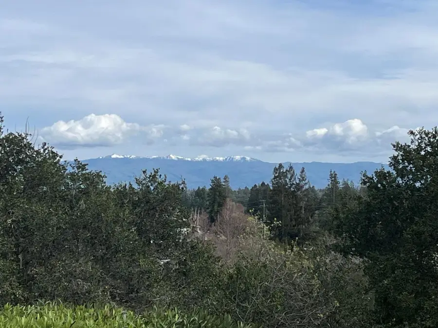 488 Knoll Drive, Los Altos, CA 94024 - #2