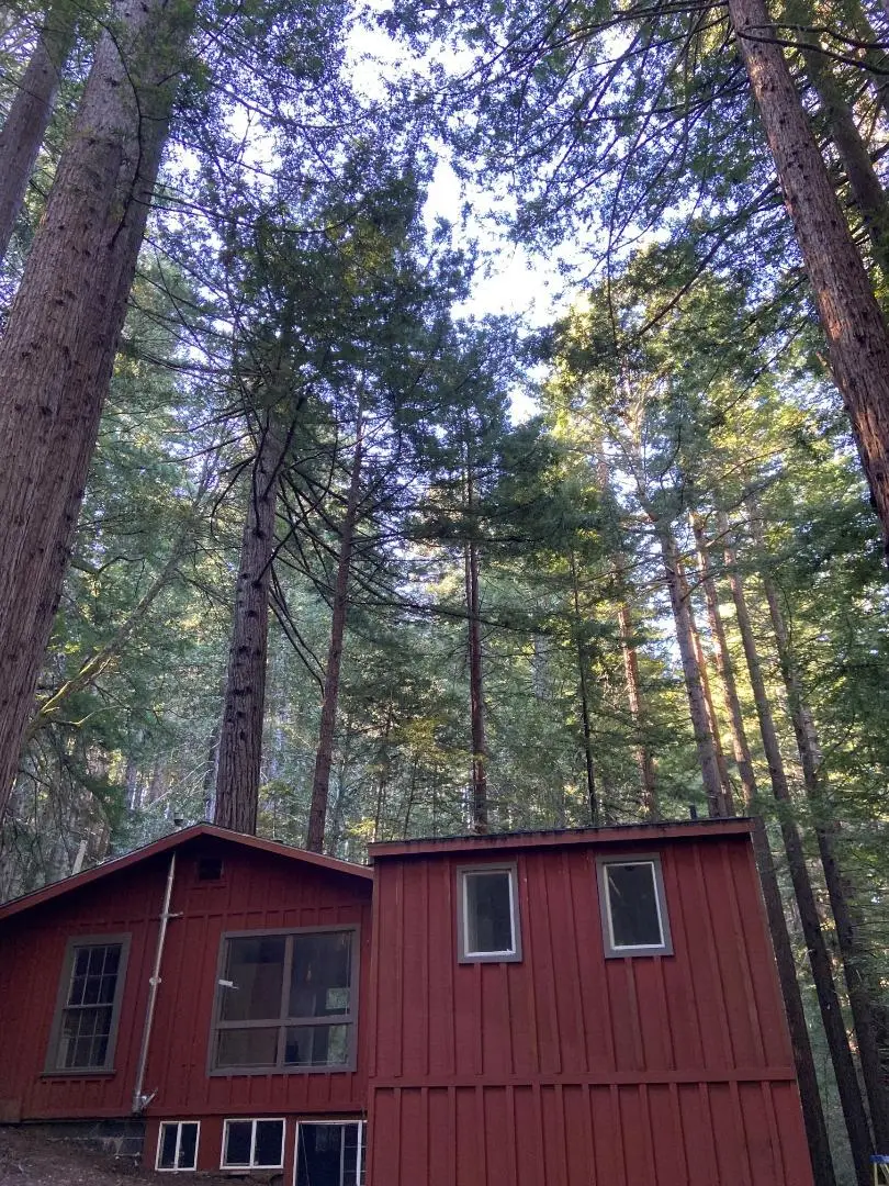 155 Native Sons Road, Woodside, CA 94062 - #3