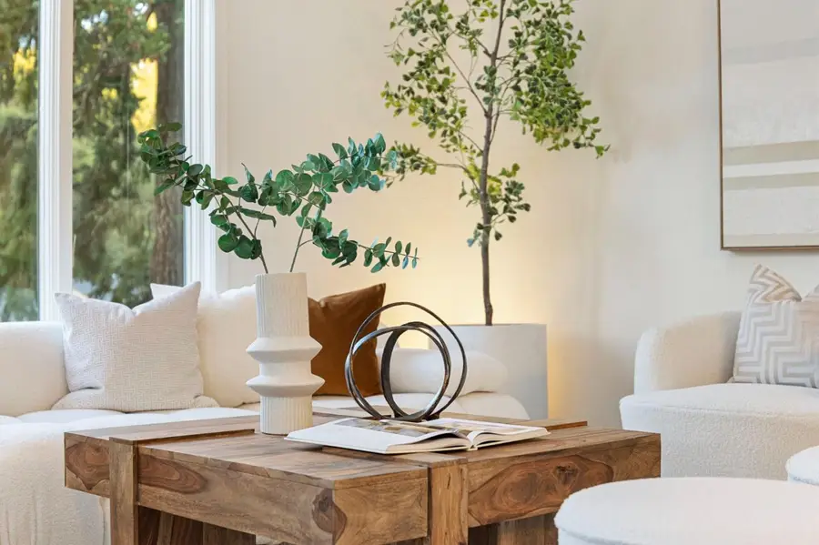 2937 San Juan Boulevard, Belmont, CA 94002 - #3