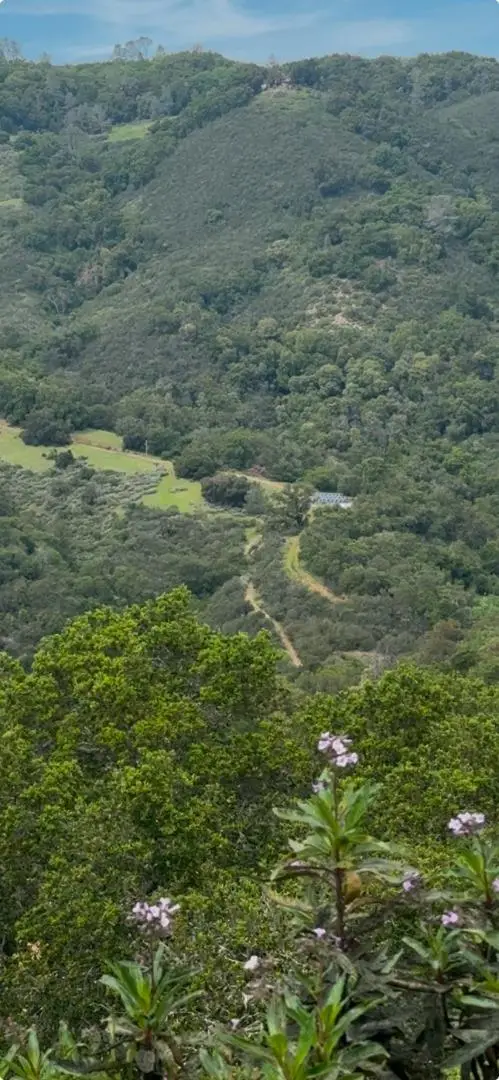 0 O Uvas Road, Morgan Hill, CA 95037 - #1