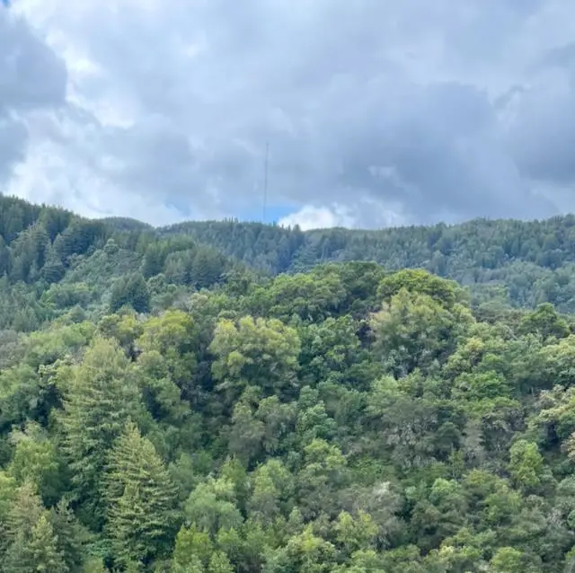 0 O Uvas Road, Morgan Hill, CA 95037 - #3