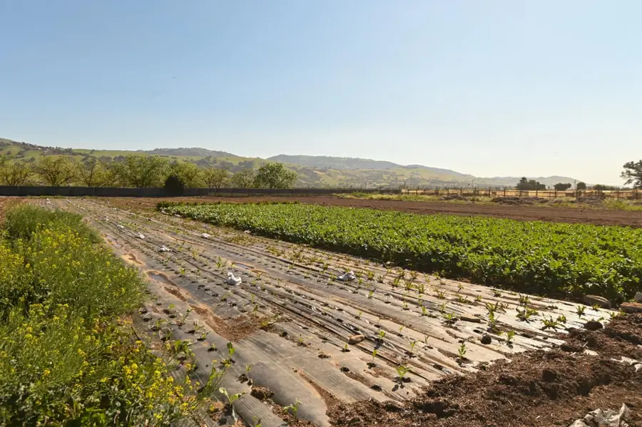 1600 Barrett Avenue, Morgan Hill, CA 95037 - #2