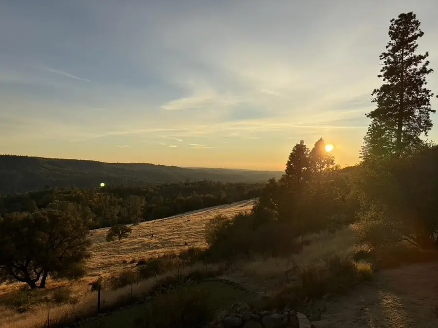 19670 Camino Del Aparicio, Fiddletown, CA 95629 - #3