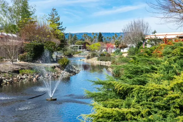 225 Mt Hermon Road, SCOTTS VALLEY, CA 95066