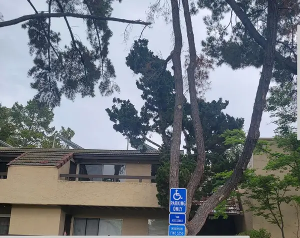 279 Tradewinds Drive  #6, SAN JOSE, CA 95123