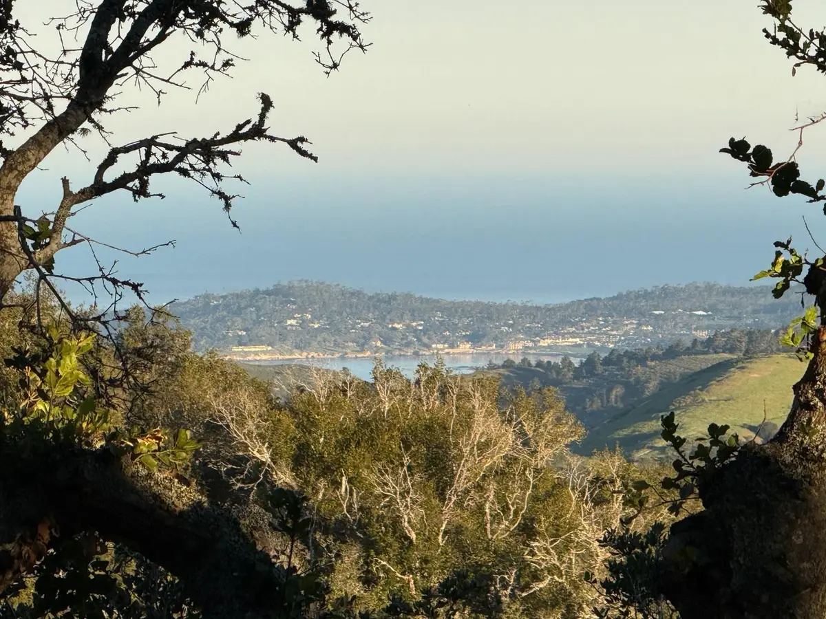13 Cantera (Lot 185) Run, Carmel, CA 93923 - #1