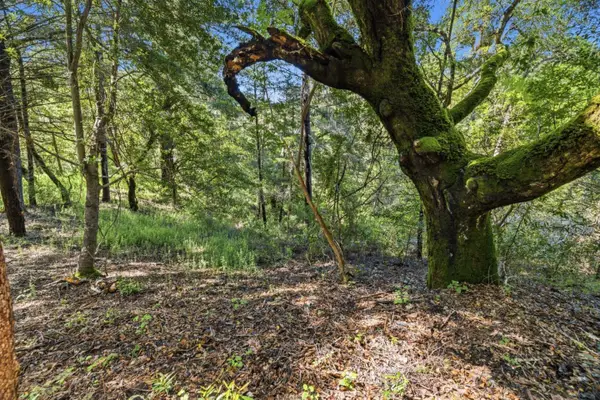 360 Rincon Way, BOULDER CREEK, CA 95006