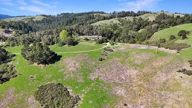 131 Rapley Ranch Road, La Honda, CA 94020 - #3