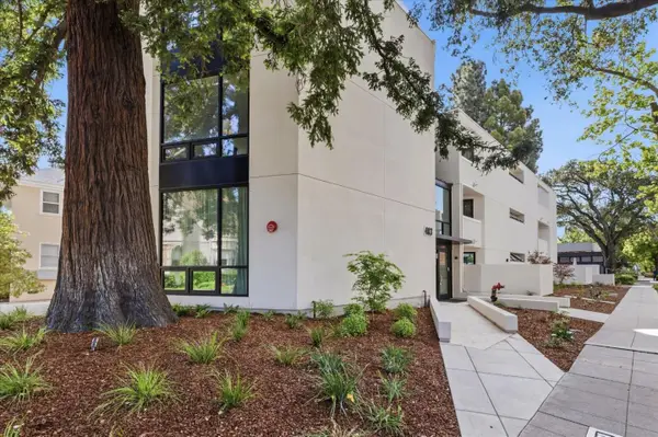483 Forest Avenue  #C, PALO ALTO, CA 94301