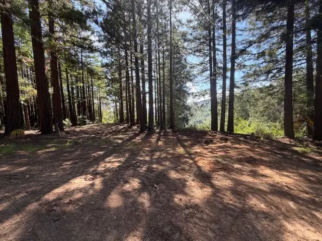 7175 Redwood Retreat, Gilroy, CA 95020 - #1