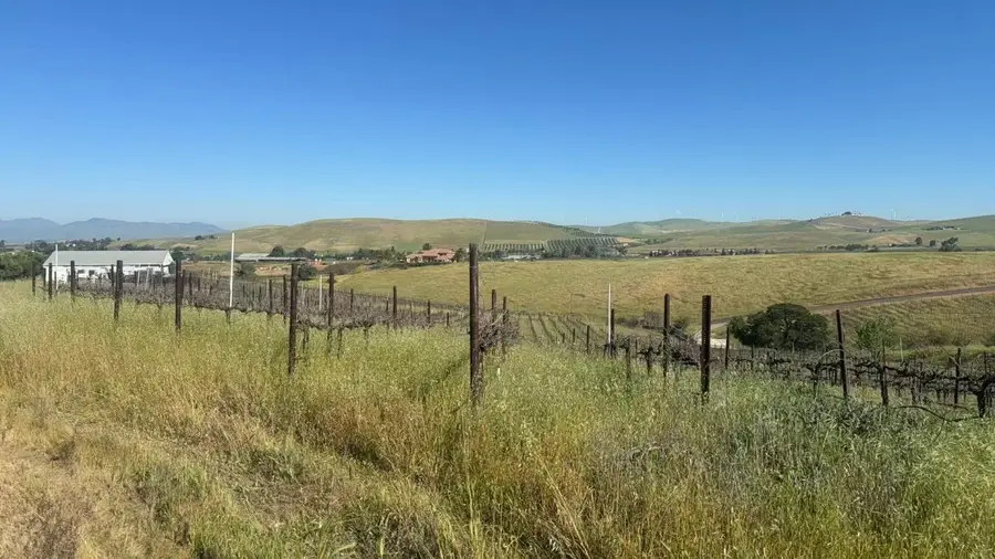 10011 Tesla Road, Livermore, CA 94550 - #3