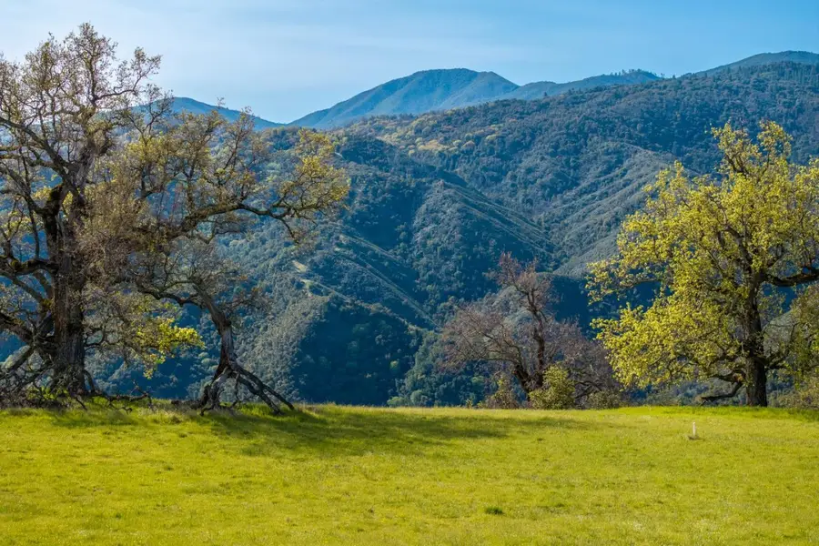 14 Long Ridge Trail (Lot 232), Carmel, CA 93923 - #2