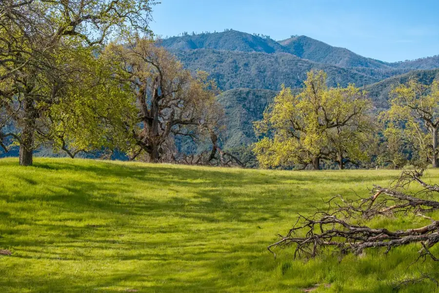 14 Long Ridge Trail (Lot 232), Carmel, CA 93923 - #3