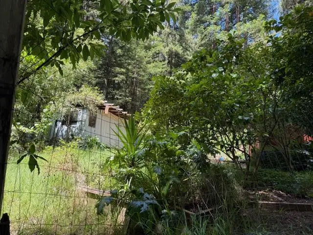 1701 Felton Quarry Rd., Felton, CA 95018 - #3