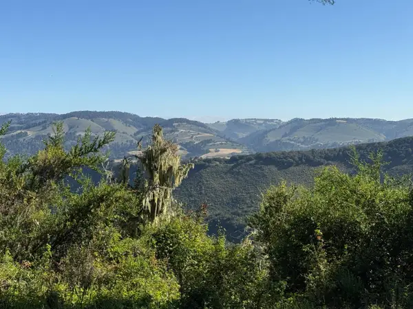 6 Rancho San Carlos (Lot E10) Road, CARMEL, CA 93923