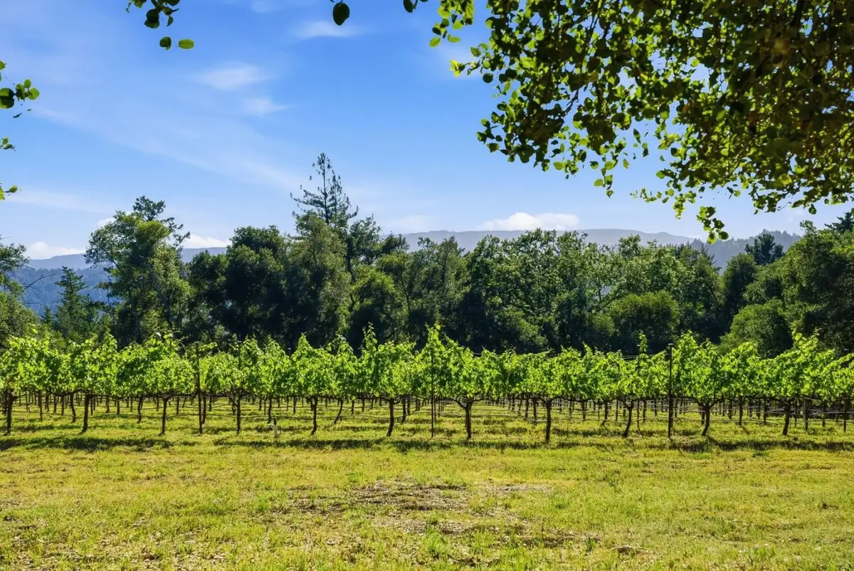 Address Withheld By Seller, Los Gatos, CA 95033 - #1