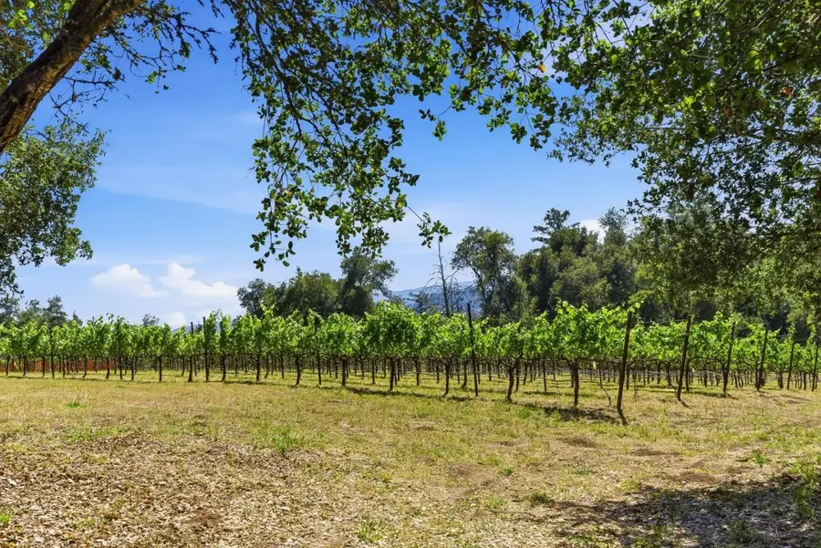 Address Withheld By Seller, Los Gatos, CA 95033 - #3