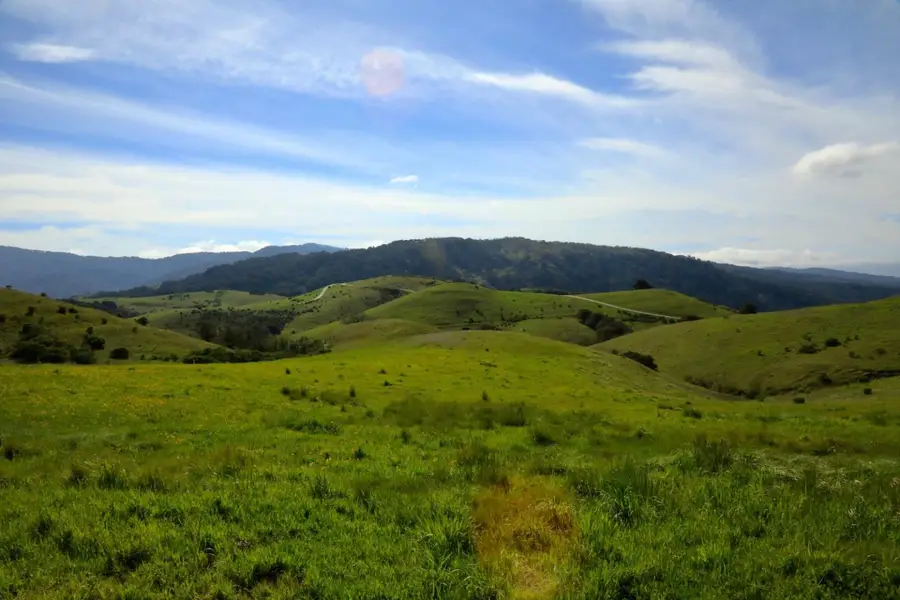 1 Peon Peak Trail (Lot 217), Carmel, CA 93923 - #2
